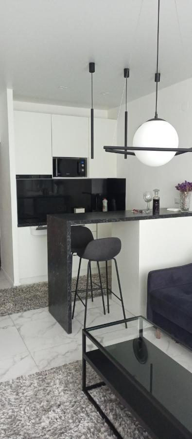 New Modern Apartment Ужгород Екстер'єр фото